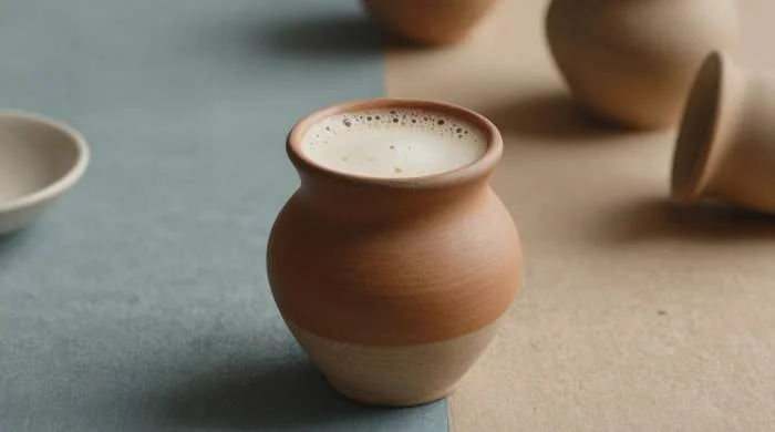 Chicha andina mostrata tra diverse bevande fermentate tradizionali