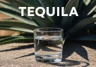 Bicchiere di tequila servito con lime fresco accanto a piante di agave
